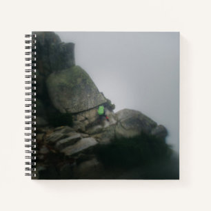 Notebook - Der lange Weg zum Pilchuck. Notizbuch