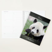 Notebook-Foto Riesenpanda , Tiere 01. Notebook Planer (Anzeige)