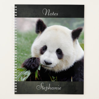 Notebook-Foto Riesenpanda , Tiere 01. Notebook Planer