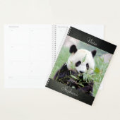 Notebook-Foto Riesenpanda , Tiere 02. Notebook Planer (Anzeige)