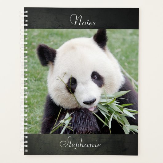 Notebook Foto Riesenpanda , Tiere 03. Notebook Planer (Vorderseite)