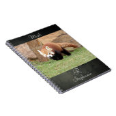 Notebook Foto rot Panda , Tiere 0436. Notizblock (Rechte Seite)