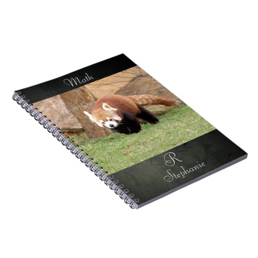 Notebook Foto rot Panda , Tiere 0436. Notizblock (Rechte Seite)