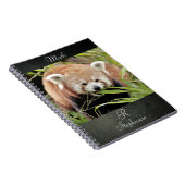 Notebook Foto rot Panda , Tiere 0443. Notizblock (Rechte Seite)