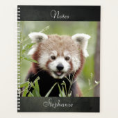 Notebook-Foto Rote Panda , Tiere 01. Notizbuch Planer (Vorderseite)