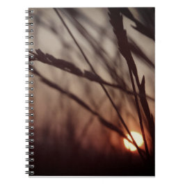 Notebook für das Feld Sunset (80 Seiten B&W) Notizblock