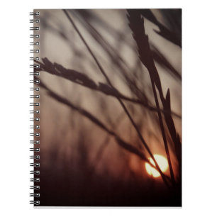 Notebook für das Feld Sunset (80 Seiten B&W) Notizblock