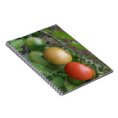 Notebook für leichte Tomaten Notizblock (Rechte Seite)