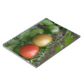 Notebook für leichte Tomaten Notizblock (Linke Seite)