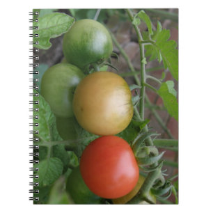 Notebook für leichte Tomaten Notizblock
