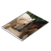 Notebook für Wildpferde Notizblock (Linke Seite)