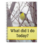 Notebook - Gelber Vogel in Baumzweigen Notizblock (Vorderseite)