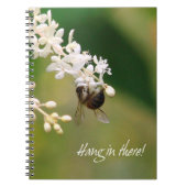 Notebook "Hang in There" Notizblock (Vorderseite)
