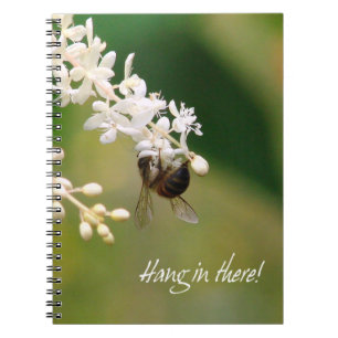 Notebook "Hang in There" Notizblock