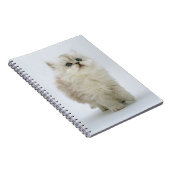 Notebook-Kitten Notizblock (Rechte Seite)
