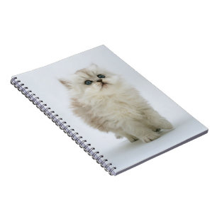 Notebook-Kitten Notizblock