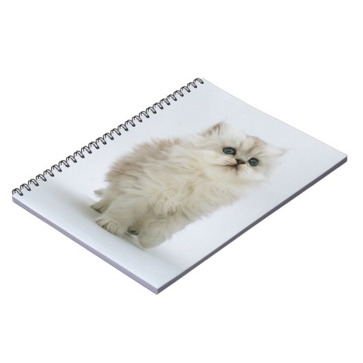 Notebook-Kitten Notizblock (Linke Seite)