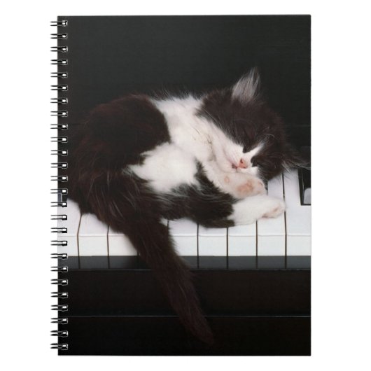 Notebook-Klavier Kitten Notizblock (Vorderseite)