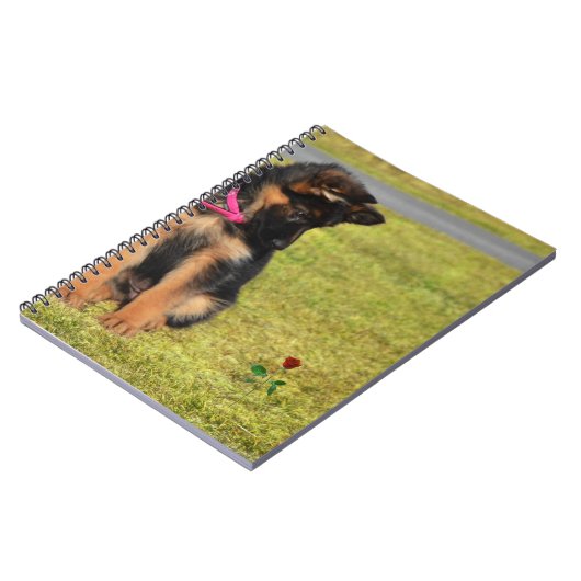 Notebook mit Blick auf eine Rose Notizblock (Linke Seite)