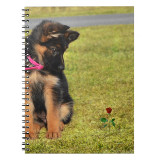 Notebook mit Blick auf eine Rose Notizblock