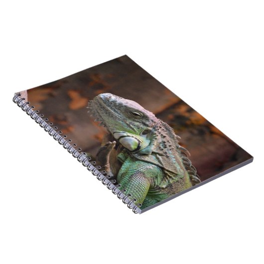 Notebook mit farbiger Iguana-Eidechse Notizblock (Rechte Seite)