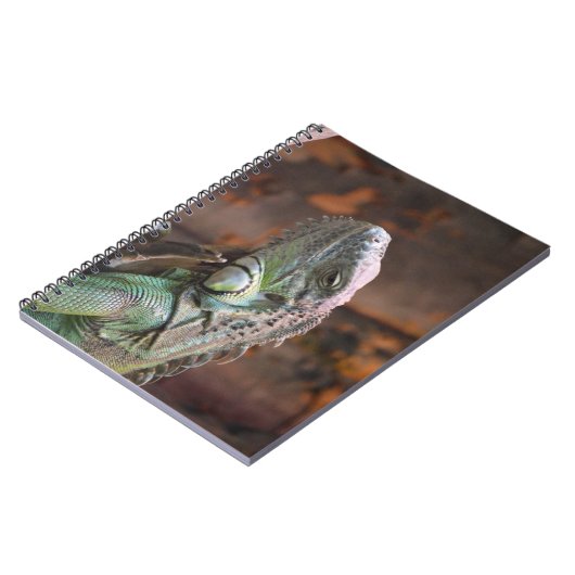 Notebook mit farbiger Iguana-Eidechse Notizblock (Linke Seite)