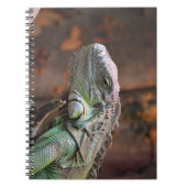 Notebook mit farbiger Iguana-Eidechse Notizblock (Vorderseite)
