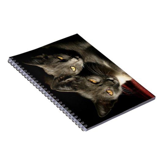 Notebook mit grauer Cats Foto (80 Seiten B&W) Notizblock (Rechte Seite)