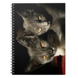 Notebook mit grauer Cats Foto (80 Seiten B&W) Notizblock