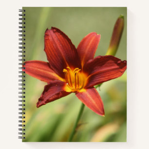 Notebook mit roter Taglilie Blume Notizblock