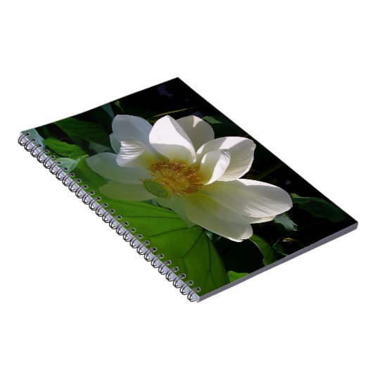 Notebook mit weißer Lotus-Blume Notizblock (Rechte Seite)