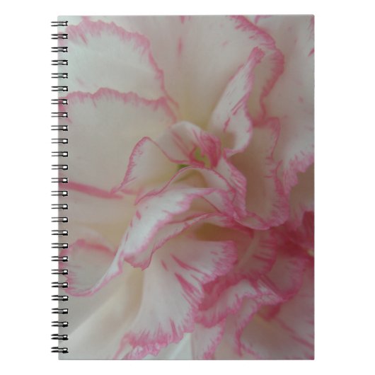 Notebook mit weißer und rosafarbener Carnation Notizblock (Vorderseite)
