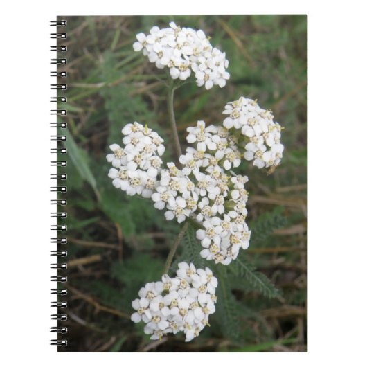 Notebook mit weißer Wildblumen Notizblock (Vorderseite)