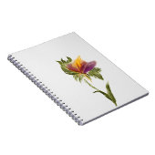 Notebook Notizblock (Rechte Seite)