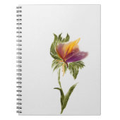 Notebook Notizblock (Vorderseite)