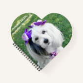 Notebook Notizblock (Vorderseite)