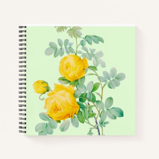 NOTEBOOK NOTIZBLOCK (Vorderseite)