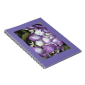 Notebook Notizblock (Rechte Seite)