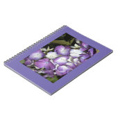 Notebook Notizblock (Linke Seite)