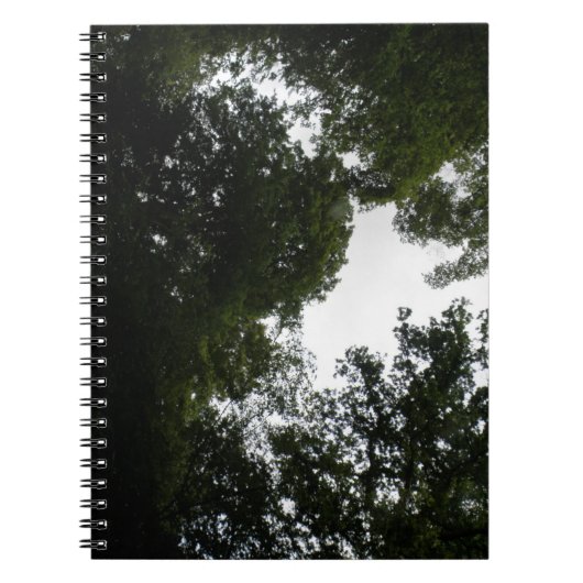 Notebook-PCs für Creepy Forest Notizblock (Vorderseite)