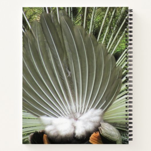 Notebook - Pfauenportrait Notizblock (Rückseite)
