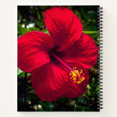 Notebook "Red Hibisken" Notizblock (Rückseite)