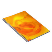 Notebook-Rose Notizblock (Rechte Seite)