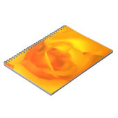 Notebook-Rose Notizblock (Linke Seite)