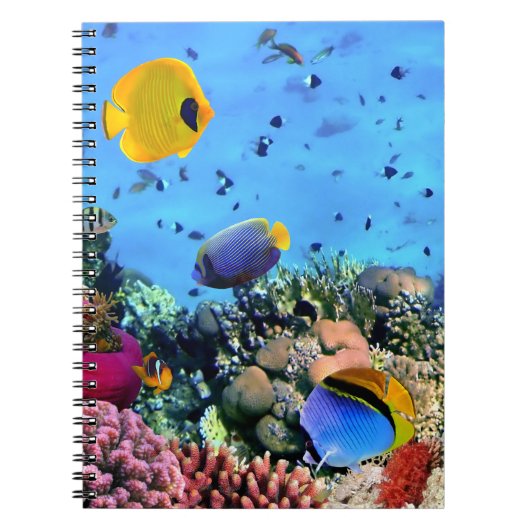 Notebook-Tropischer Fisch Notizblock (Vorderseite)
