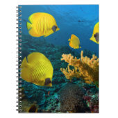 Notebook-Tropischer Fisch Notizblock (Vorderseite)