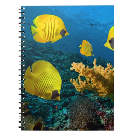 Notebook-Tropischer Fisch Notizblock (Vorderseite)