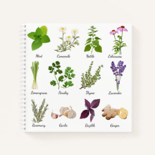 Notebooks mit Herbs Recipe Notizblock