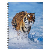 Notebooktiger Notizblock (Vorderseite)