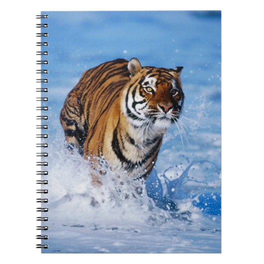 Notebooktiger Notizblock (Vorderseite)